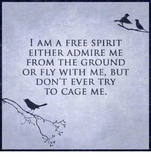 I am a free spirit, photo from: http://www.mesmerizingquotes.com17802442